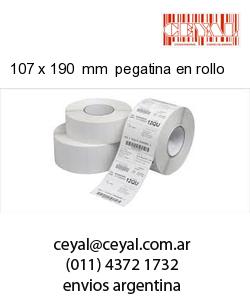 107 x 190  mm  pegatina en rollo