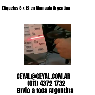 Etiquetas 8 x 12 en Alamaula Argentina