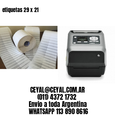 etiquetas 29 x 21