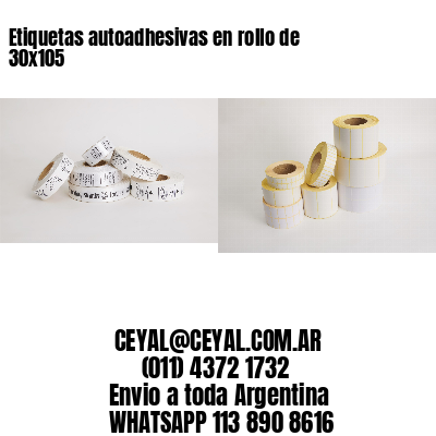 Etiquetas autoadhesivas en rollo de 30×105