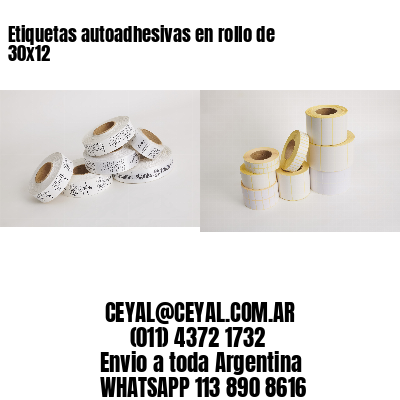 Etiquetas autoadhesivas en rollo de 30×12