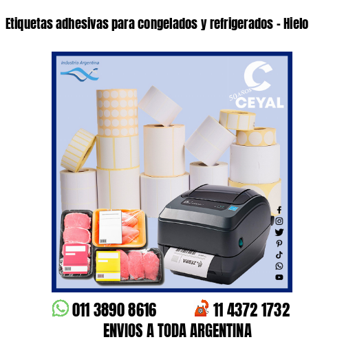 Etiquetas adhesivas para congelados y refrigerados – Hielo