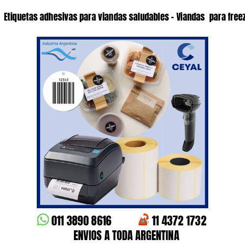 Etiquetas adhesivas para viandas saludables – Viandas  para freezer