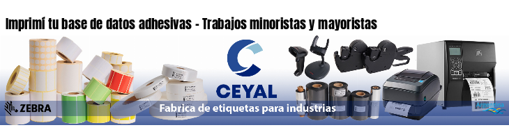 Imprimí tu base de datos adhesivas - Trabajos minoristas y mayoristas
