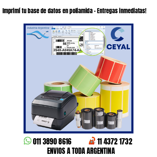 Imprimí tu base de datos en poliamida – Entregas inmediatas!