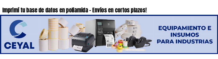 Imprimí tu base de datos en poliamida - Envíos en cortos plazos!