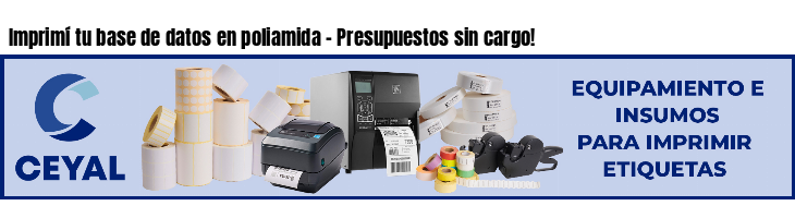 Imprimí tu base de datos en poliamida - Presupuestos sin cargo!
