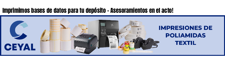 Imprimimos bases de datos para tu depósito - Asesoramientos en el acto!