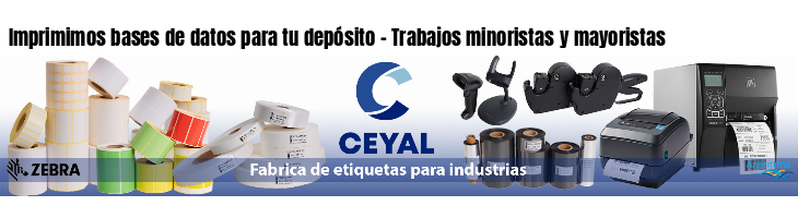 Imprimimos bases de datos para tu depósito - Trabajos minoristas y mayoristas