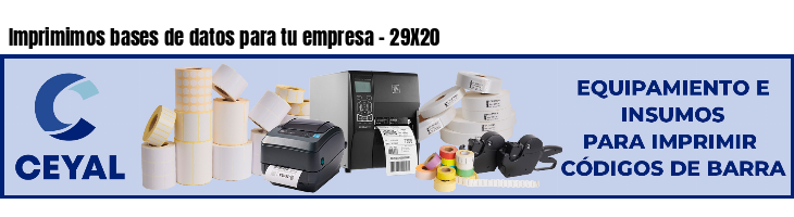 Imprimimos bases de datos para tu empresa - 29X20