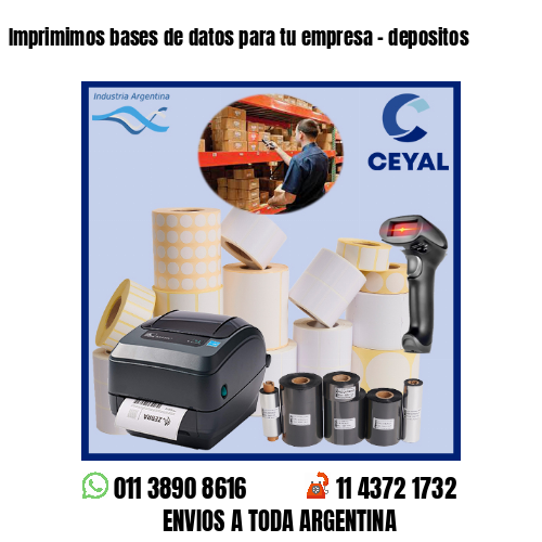 Imprimimos bases de datos para tu empresa – depositos