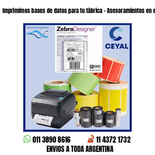 Imprimimos bases de datos para tu fábrica – Asesoramientos en el acto!