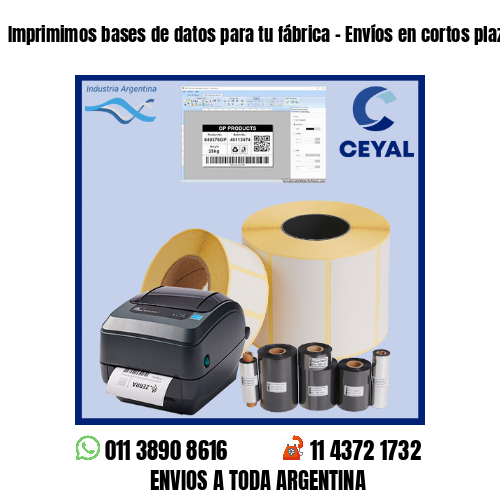 Imprimimos bases de datos para tu fábrica – Envíos en cortos plazos!