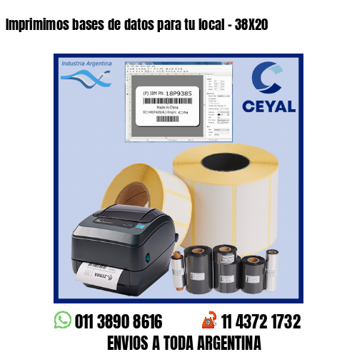 Imprimimos bases de datos para tu local – 38X20