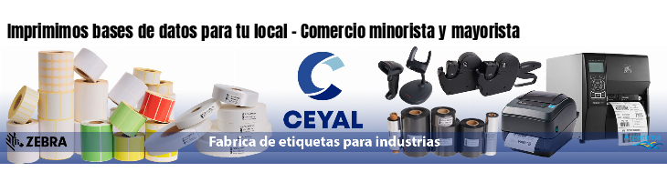 Imprimimos bases de datos para tu local - Comercio minorista y mayorista