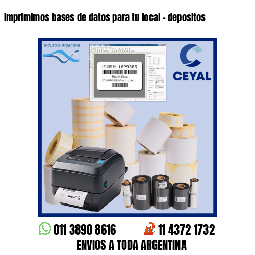 Imprimimos bases de datos para tu local – depositos