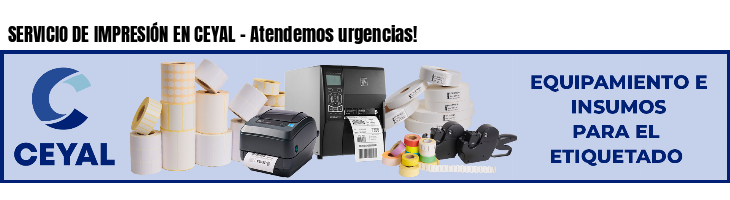 SERVICIO DE IMPRESIÓN EN CEYAL - Atendemos urgencias!