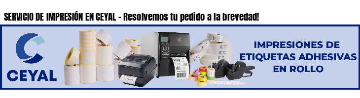 SERVICIO DE IMPRESIÓN EN CEYAL - Resolvemos tu pedido a la brevedad!