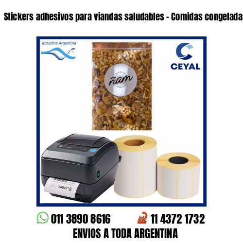 Stickers adhesivos para viandas saludables – Comidas congeladas