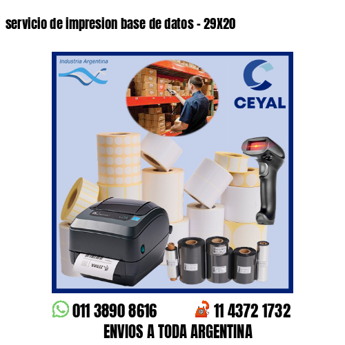 servicio de impresion base de datos – 29X20