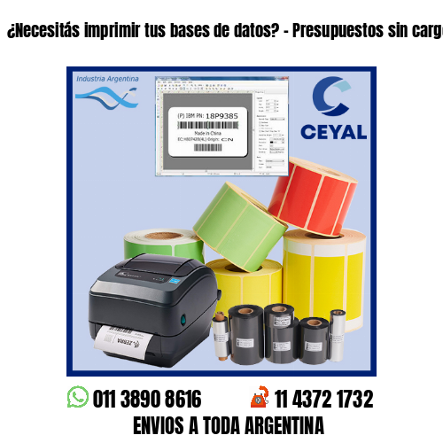 ¿Necesitás imprimir tus bases de datos? – Presupuestos sin cargo!