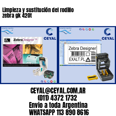 Limpieza y sustitución del rodillo zebra gk 420t