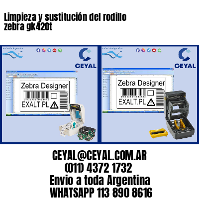 Limpieza y sustitución del rodillo zebra gk420t