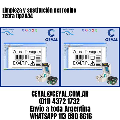 Limpieza y sustitución del rodillo zebra tlp2844