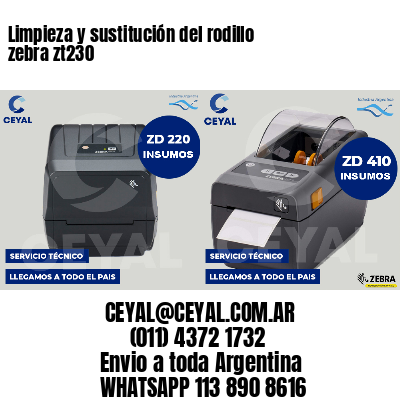 Limpieza y sustitución del rodillo zebra zt230