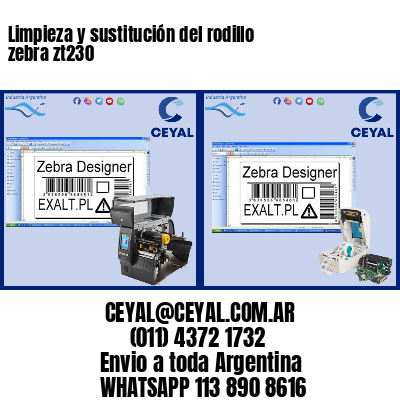 Limpieza y sustitución del rodillo zebra zt230