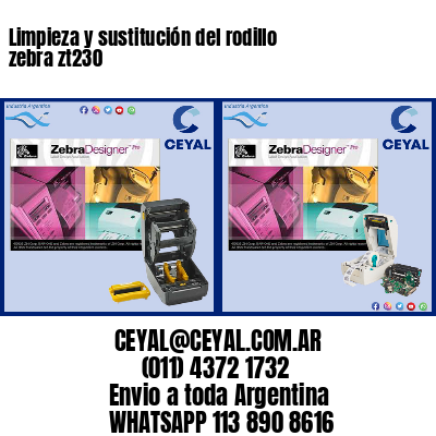 Limpieza y sustitución del rodillo zebra zt230