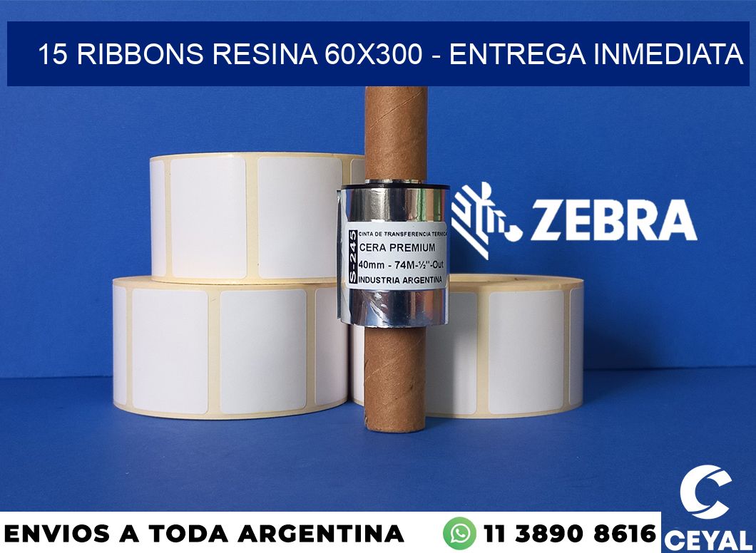 15 Ribbons resina 60x300 - Entrega inmediata
