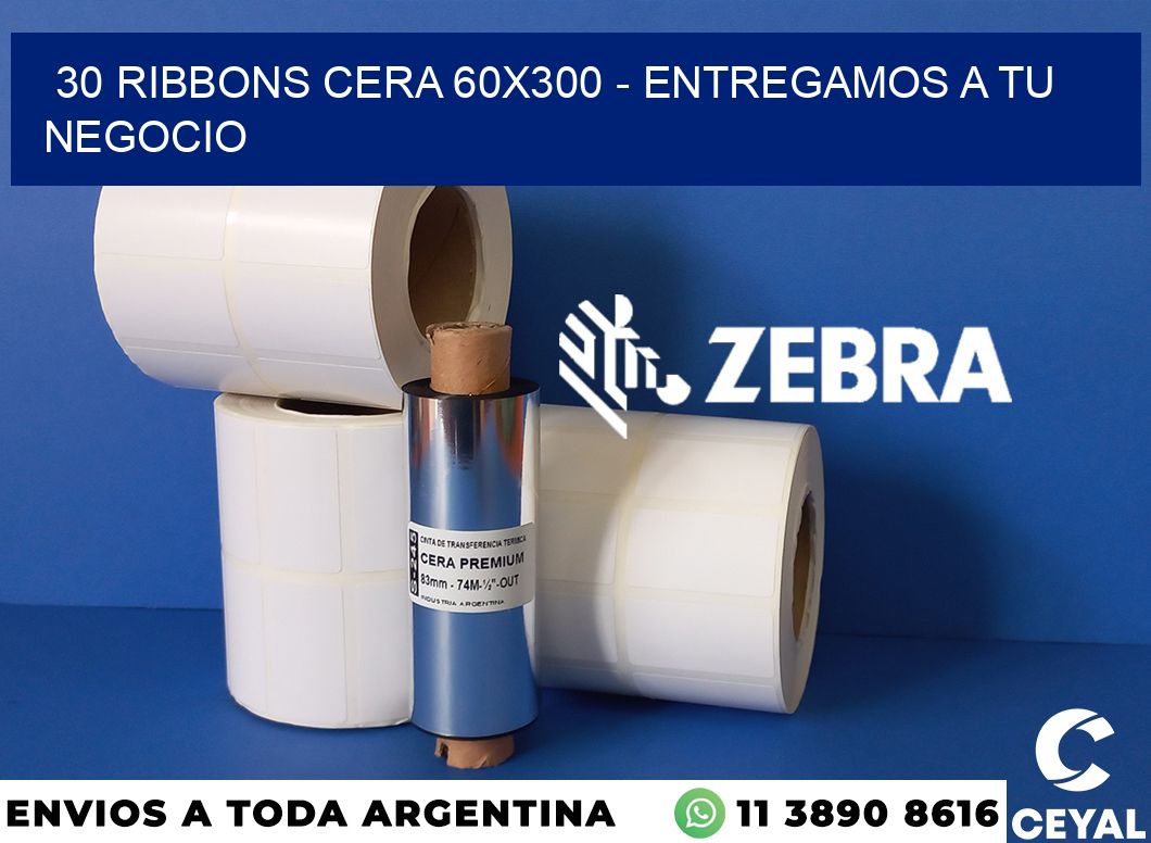 30 Ribbons cera 60x300 - entregamos a tu negocio