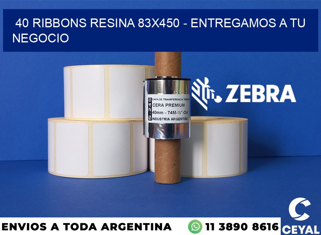 40 Ribbons resina 83x450 - entregamos a tu negocio