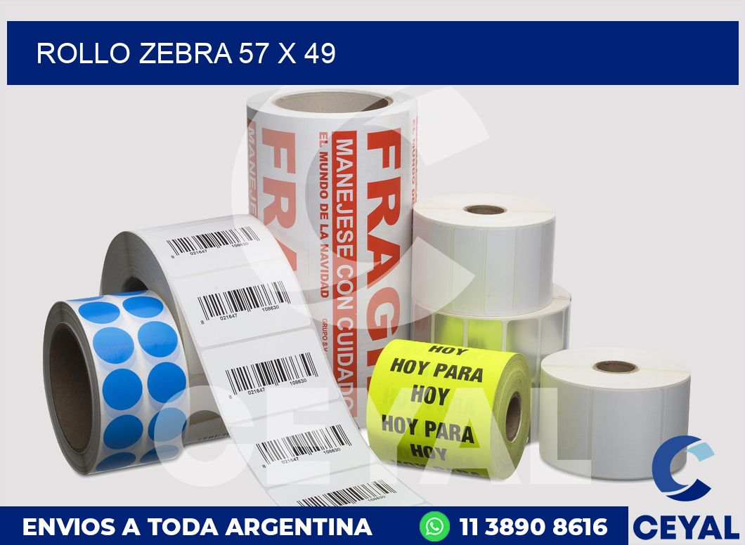 rollo zebra 57 x 49