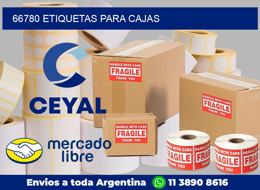 66780 Etiquetas para cajas