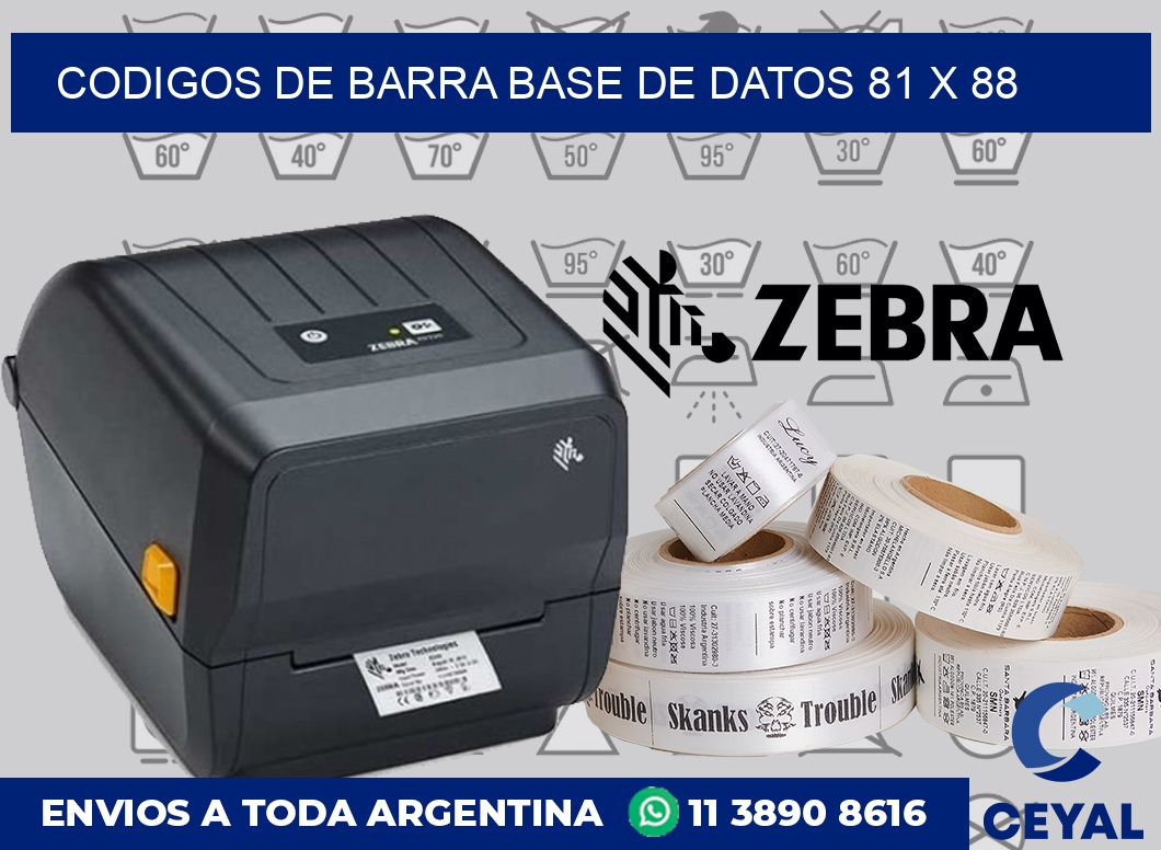 Codigos de barra base de datos 81 x 88