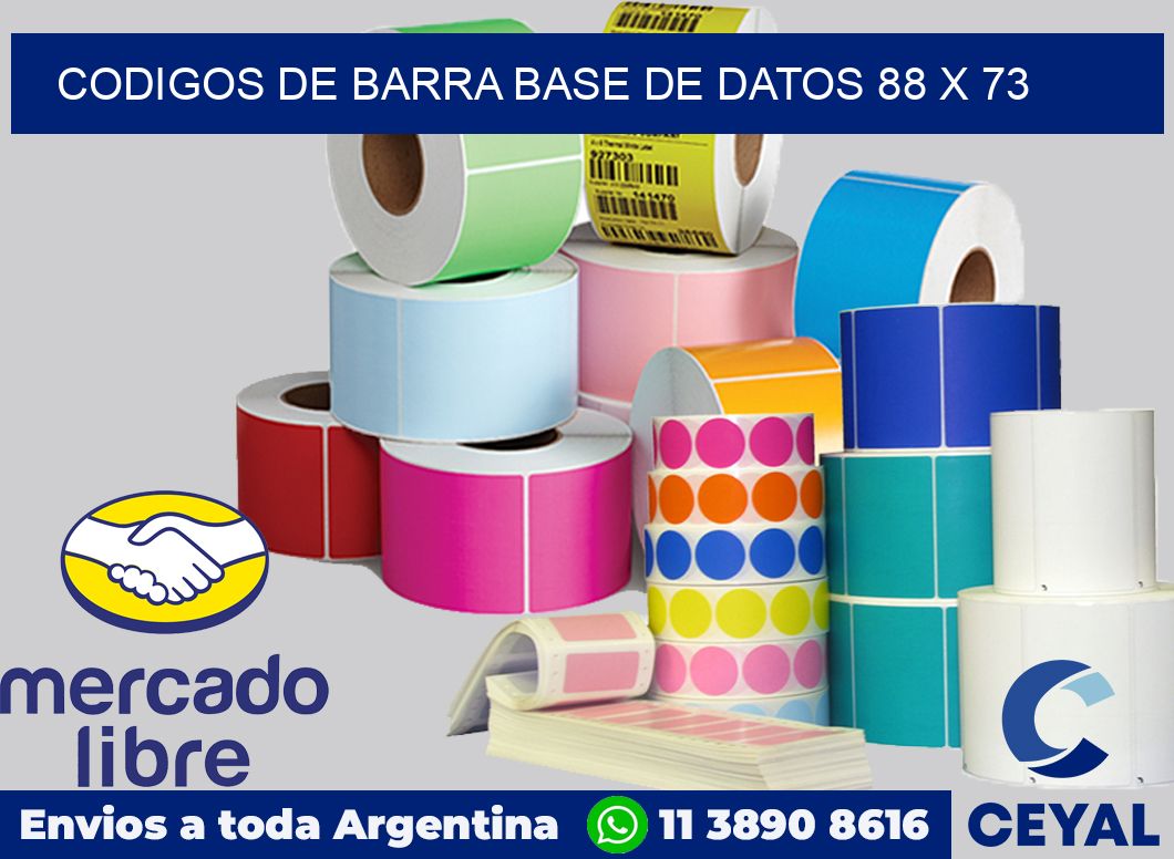 Codigos de barra base de datos 88 x 73