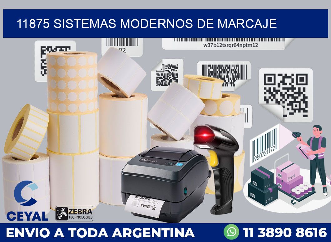 11875 SISTEMAS MODERNOS DE MARCAJE