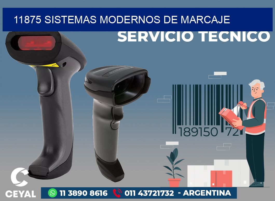 11875 SISTEMAS MODERNOS DE MARCAJE