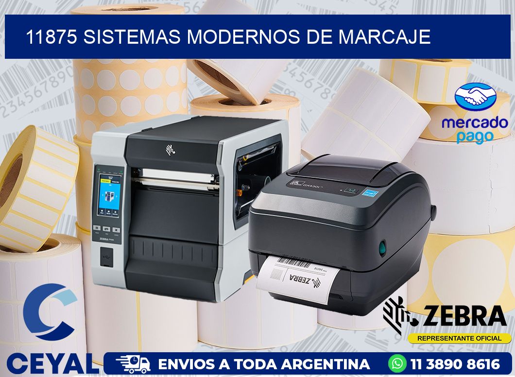 11875 SISTEMAS MODERNOS DE MARCAJE