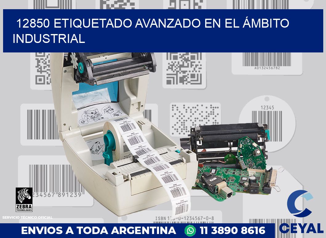 12850 ETIQUETADO AVANZADO EN EL ÁMBITO INDUSTRIAL