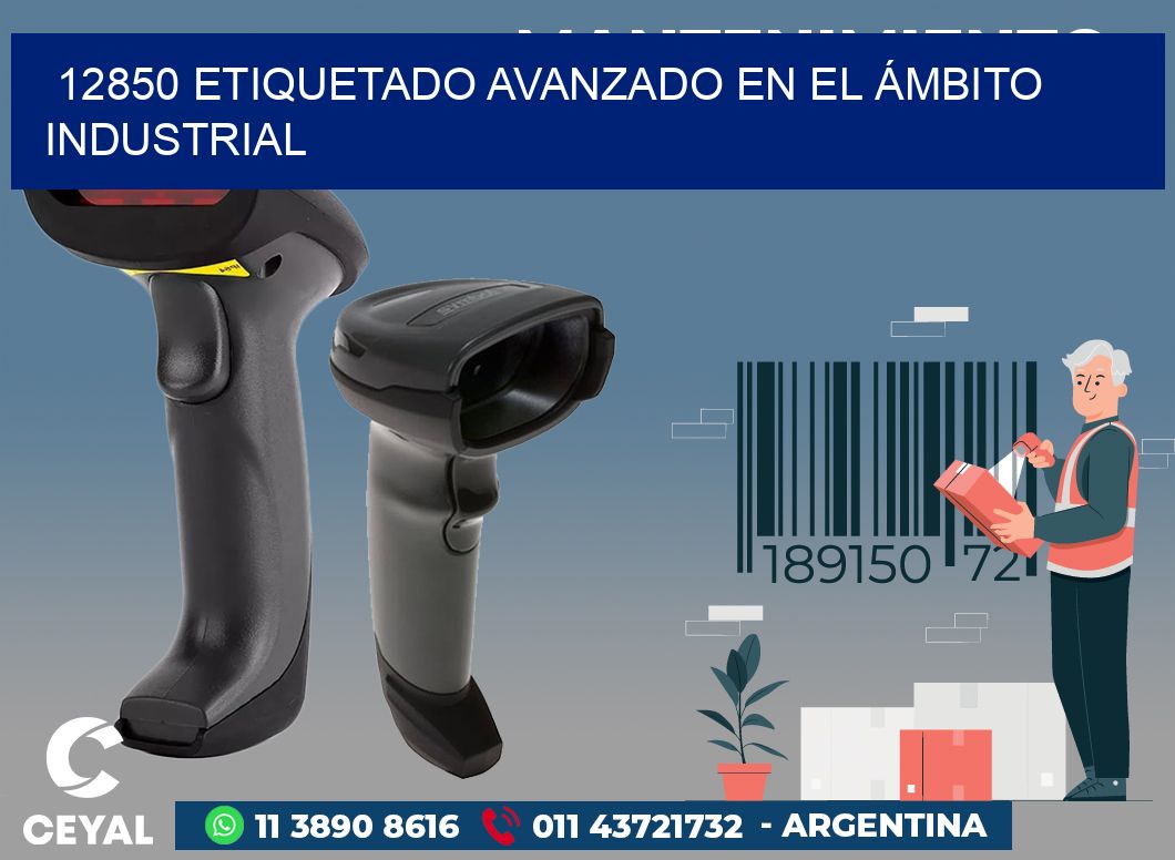 12850 ETIQUETADO AVANZADO EN EL ÁMBITO INDUSTRIAL