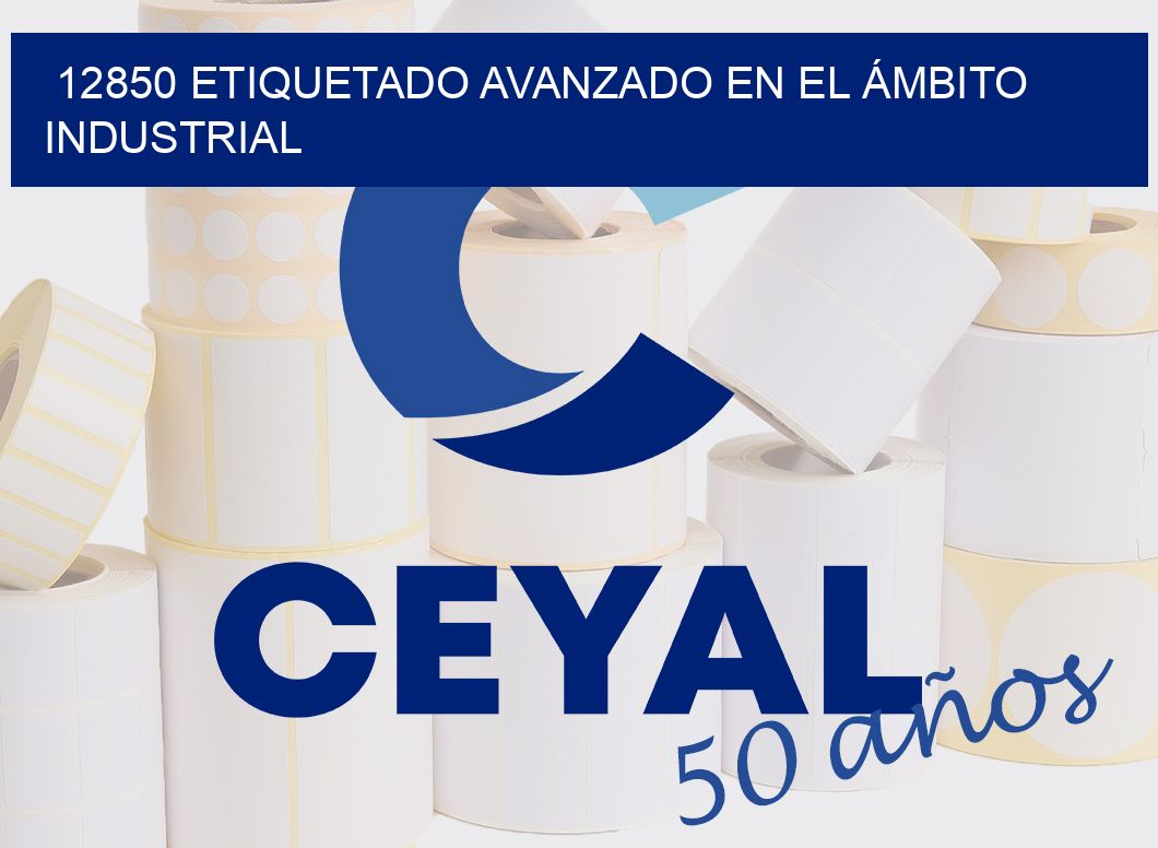 12850 ETIQUETADO AVANZADO EN EL ÁMBITO INDUSTRIAL