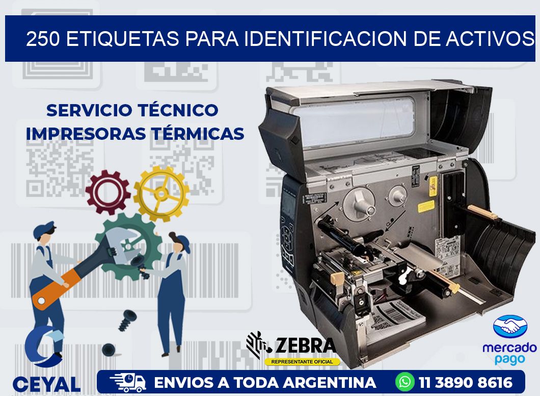 250 ETIQUETAS PARA IDENTIFICACION DE ACTIVOS