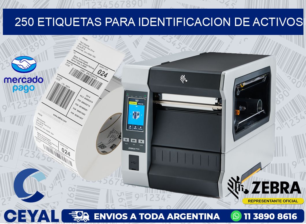 250 ETIQUETAS PARA IDENTIFICACION DE ACTIVOS