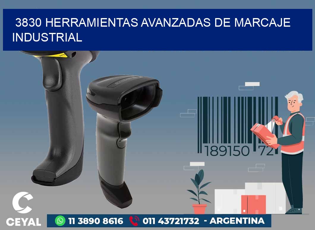 3830 HERRAMIENTAS AVANZADAS DE MARCAJE INDUSTRIAL