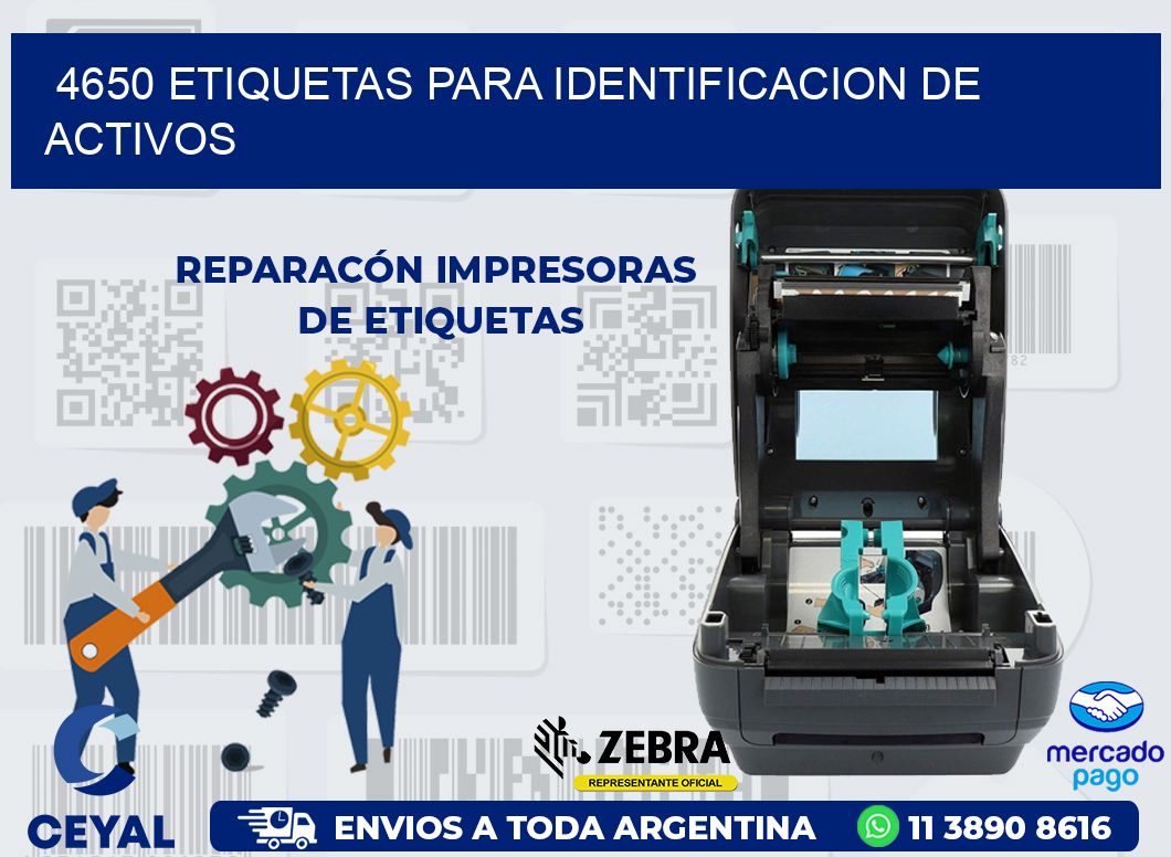 4650 ETIQUETAS PARA IDENTIFICACION DE ACTIVOS
