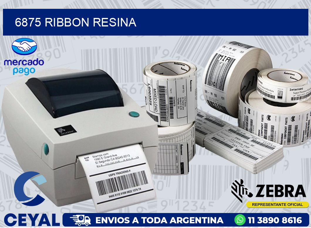 6875 RIBBON RESINA