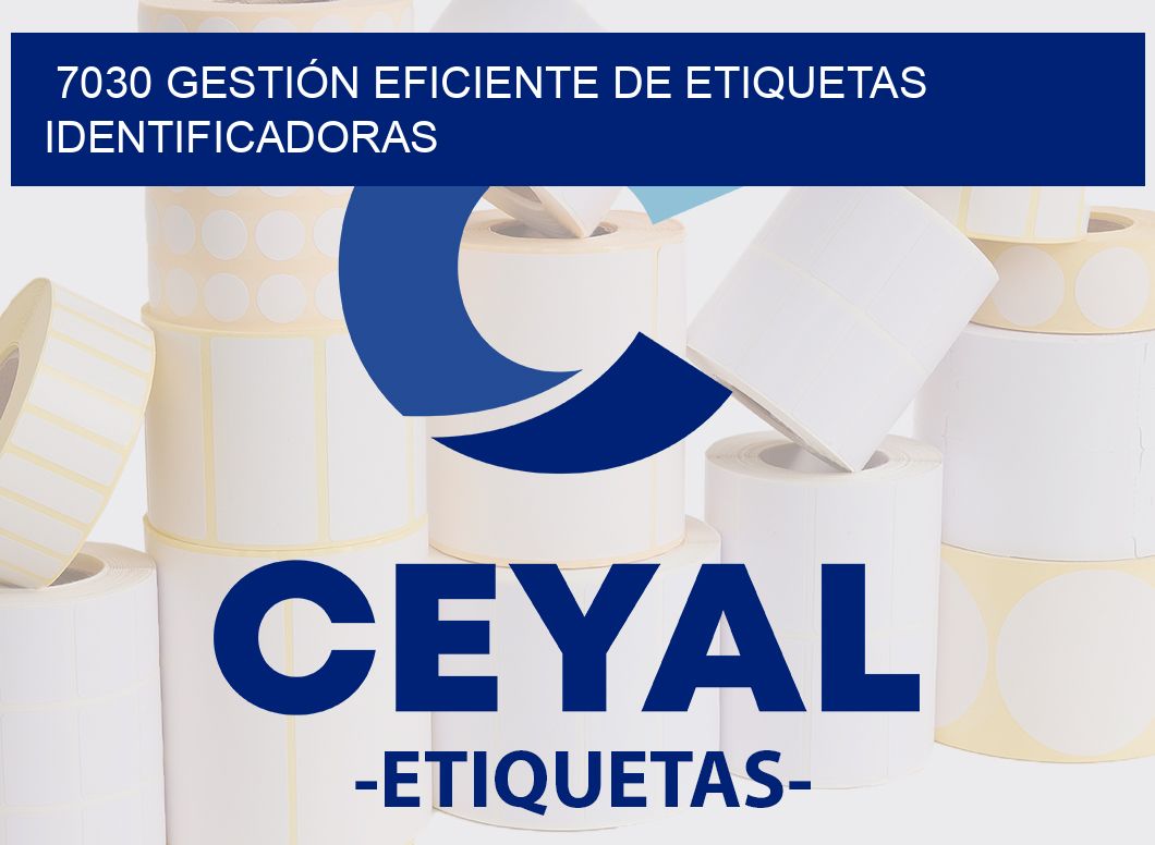 7030 GESTIÓN EFICIENTE DE ETIQUETAS IDENTIFICADORAS
